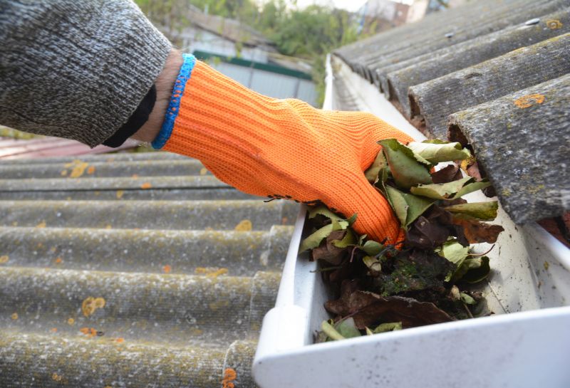 Gutter Leaves Removal in Richmond, VA