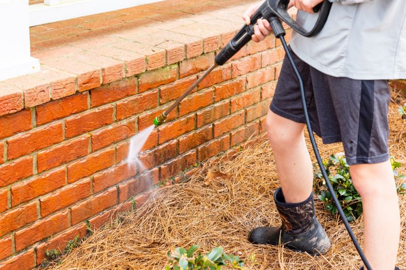 House Brick Cleaning Service